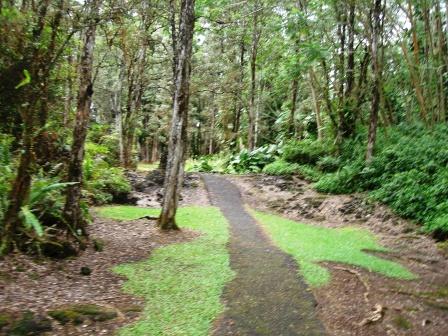 lava tree park path Puna